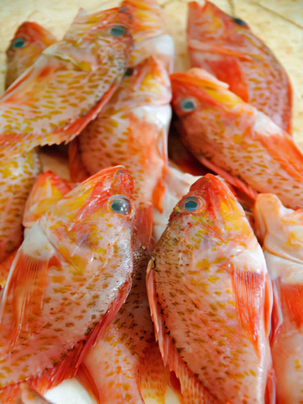 food00013