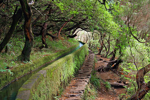 levada00005
