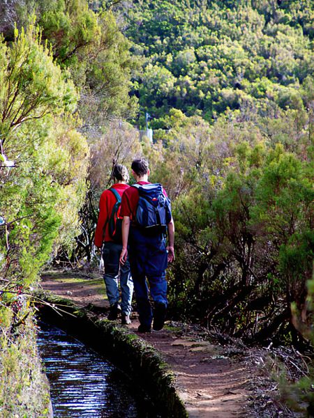 levada00006