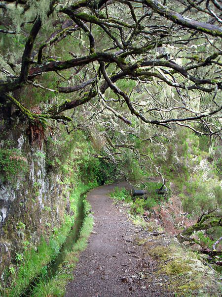 levada00010