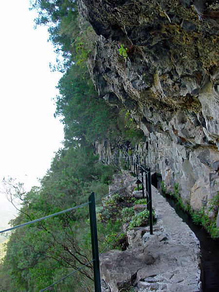 levada00007