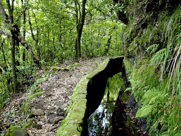 levada00002
