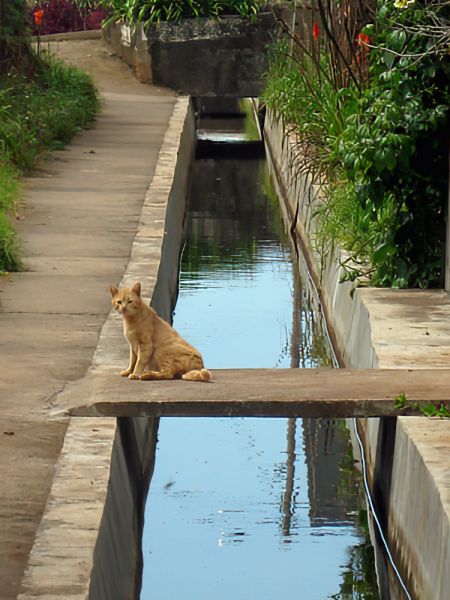 levada00009